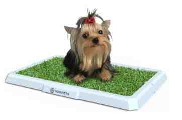 BANDEJA TONIPETS HEMBRA MINI 48X33CM